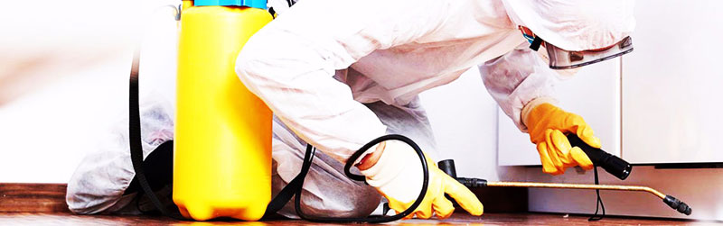 MS ΑΠΟΛΥΜΑΝΤΙΚΗ - ΣΑΛΠΟΓΛΟΥ ΜΑΡΙΑ: Φωτογραφίες & Βίντεο