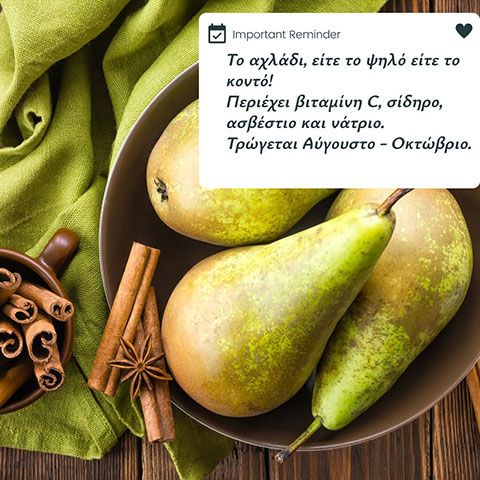 MYLONA MYRTO - MARIA: Φωτογραφίες & Βίντεο
