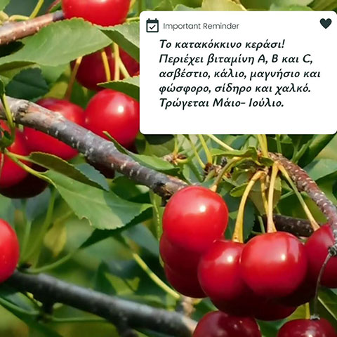 MYLONA MYRTO - MARIA: Φωτογραφίες & Βίντεο