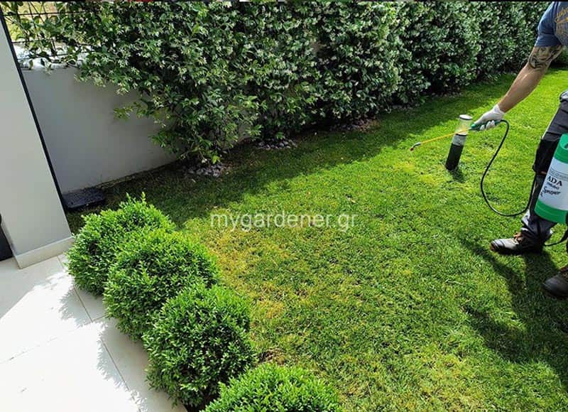 MY GARDENER: Φωτογραφίες & Βίντεο