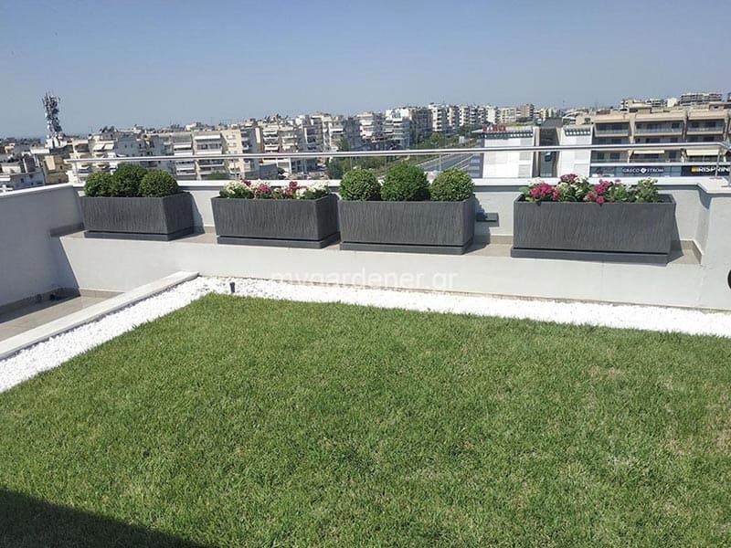 MY GARDENER: Φωτογραφίες & Βίντεο