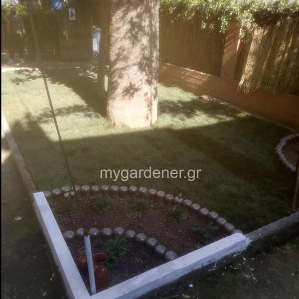 MY GARDENER: Φωτογραφίες & Βίντεο