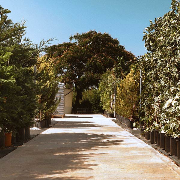 MY GARDEN: Φωτογραφίες & Βίντεο