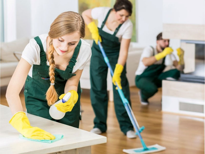NATURAL CLEANING SERVICES: Φωτογραφίες & Βίντεο