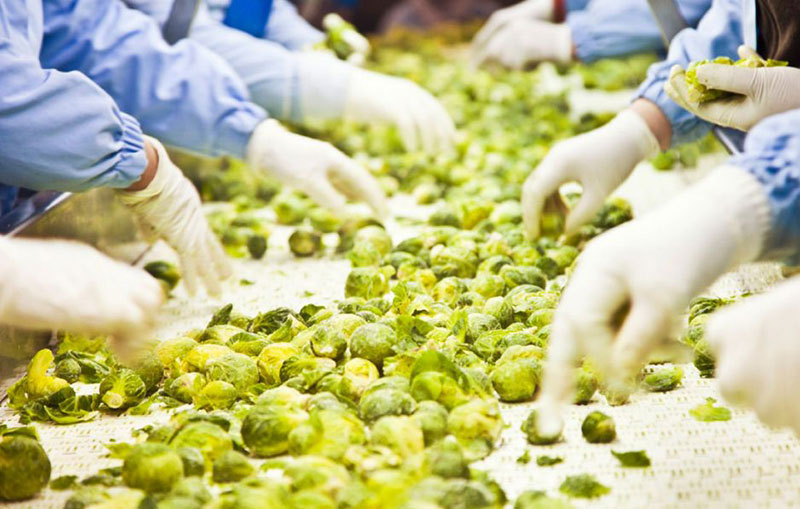 ISO 22000 - Σύστημα Διαχείρισης Ασφάλειας Τροφίμων