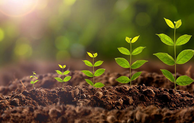 ISO 14001 - Σύστημα Περιβαλλοντικής Διαχείρισης