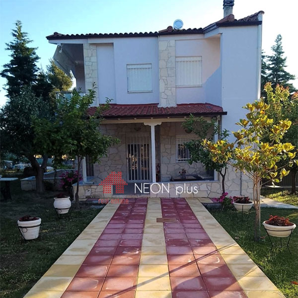 NEON PLUS REAL ESTATE: Φωτογραφίες & Βίντεο