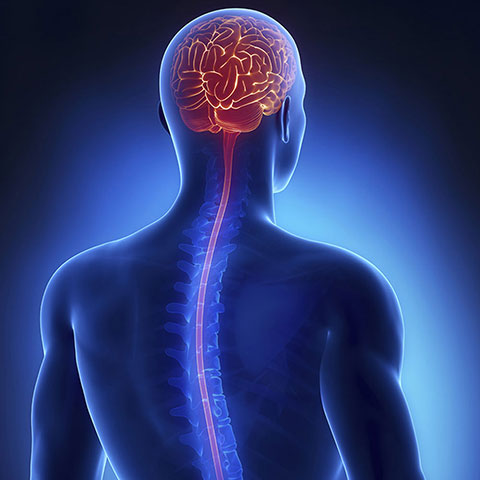 NEUROSURGERY & PAIN CENTER: Φωτογραφίες & Βίντεο