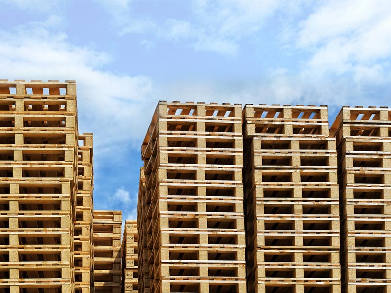 NEW PALLET: Φωτογραφίες & Βίντεο
