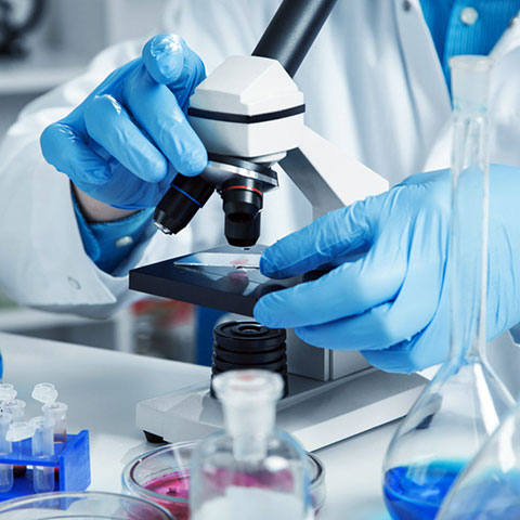 NIKOLAOU EFTYCHIA MD, MSc: Φωτογραφίες & Βίντεο