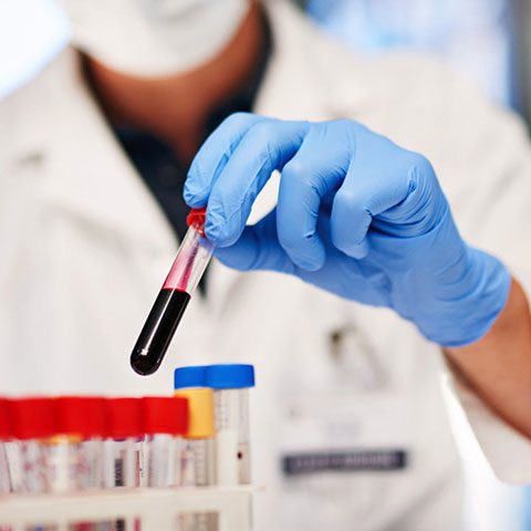 NIKOLAOU EFTYCHIA MD, MSc: Φωτογραφίες & Βίντεο