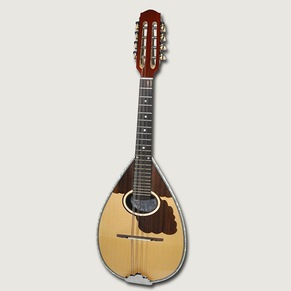 NOSTOS MUSIC SHOP: Φωτογραφίες & Βίντεο