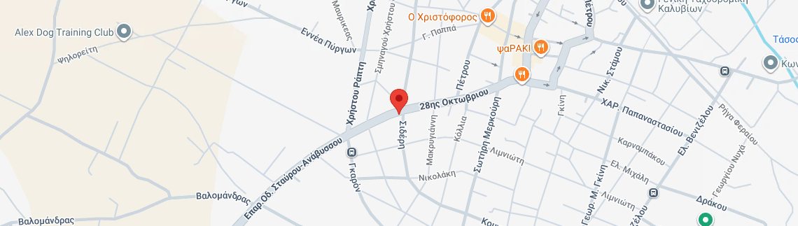 Λογότυπο NTISIOS G. ILIAS