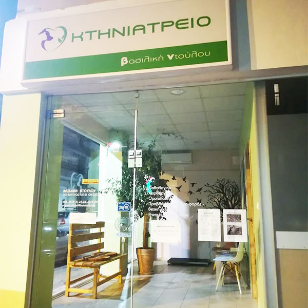 ΝΤΟΥΛΟΥ ΒΑΣΙΛΙΚΗ: Φωτογραφίες & Βίντεο
