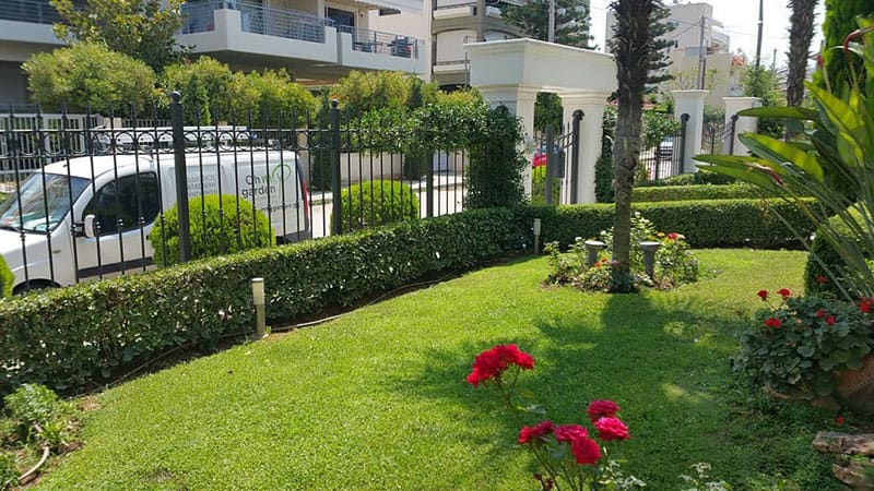 OH MY GARDEN: Φωτογραφίες & Βίντεο