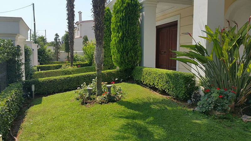 OH MY GARDEN: Φωτογραφίες & Βίντεο