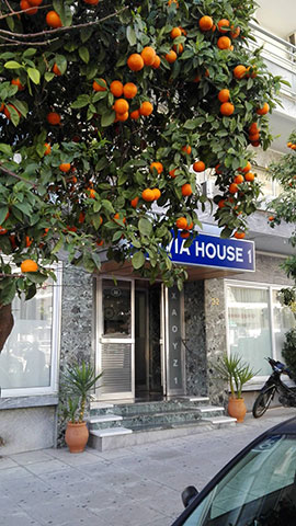 OLIVIA HOUSE: Φωτογραφίες & Βίντεο