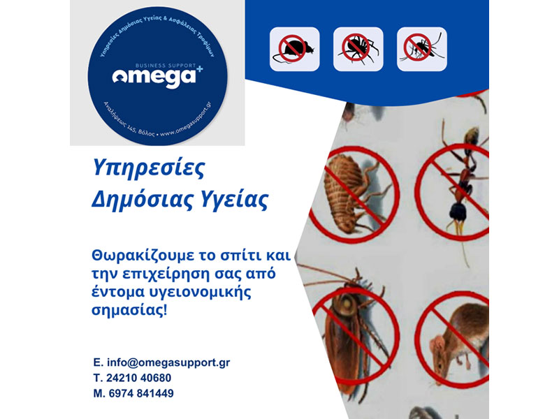 OMEGA PLUS BUSINESS SUPPORT: Φωτογραφίες & Βίντεο