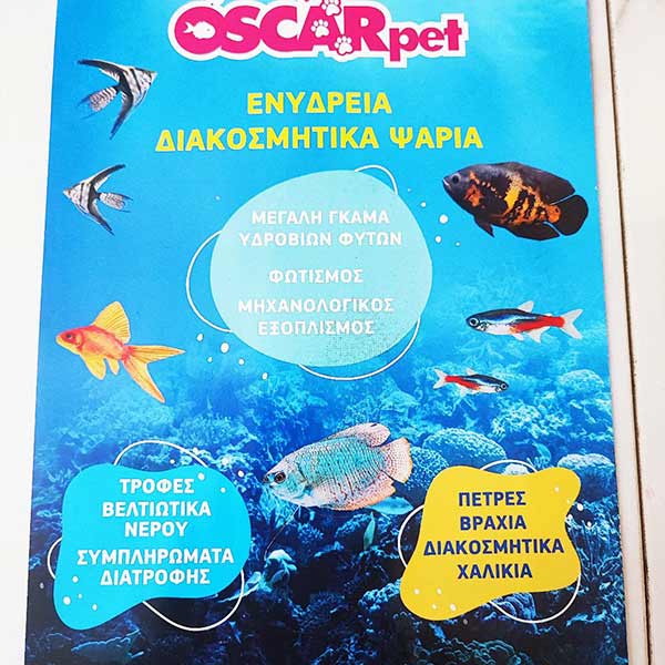 OSCAR - ΔΗΜΗΤΡΑΚΟΠΟΥΛΟΥ ΕΛΕΝΗ: Φωτογραφίες & Βίντεο