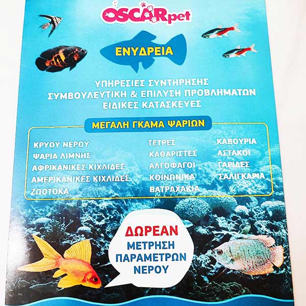 OSCAR - ΔΗΜΗΤΡΑΚΟΠΟΥΛΟΥ ΕΛΕΝΗ: Φωτογραφίες & Βίντεο