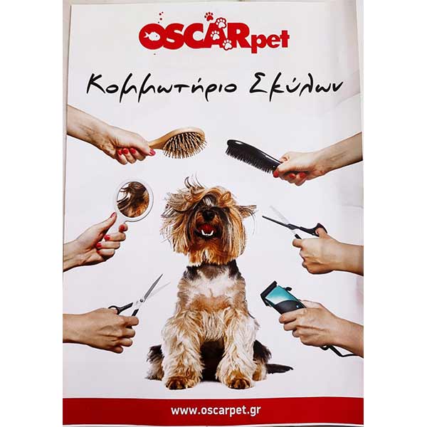 OSCAR - DIMITRAKOPOULOU ELENI: Φωτογραφίες & Βίντεο