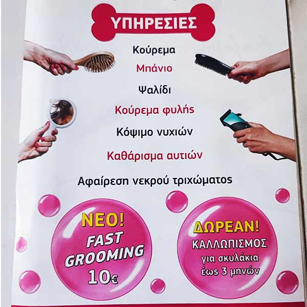 OSCAR - DIMITRAKOPOULOU ELENI: Φωτογραφίες & Βίντεο