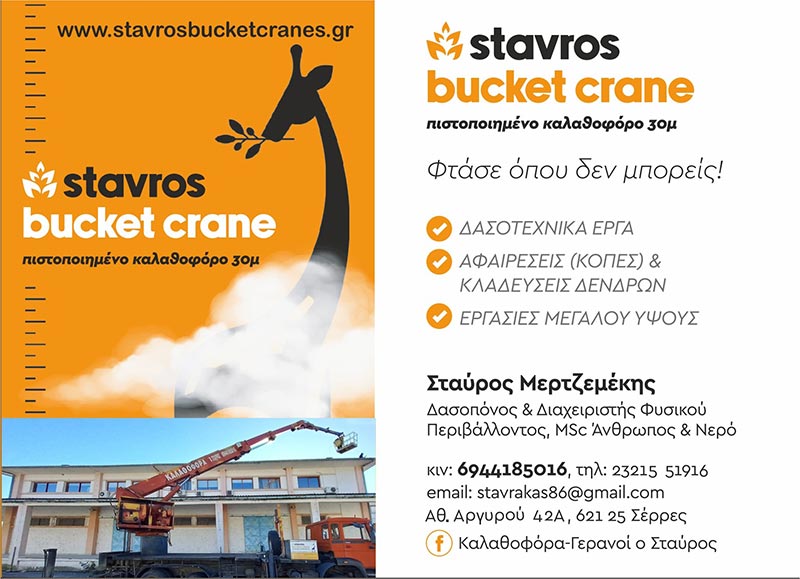 O STAVROS: Φωτογραφίες & Βίντεο