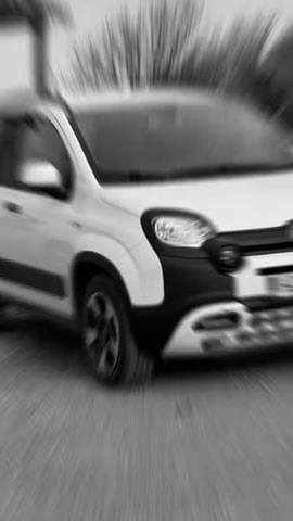 PADOU RENTALS: Φωτογραφίες & Βίντεο