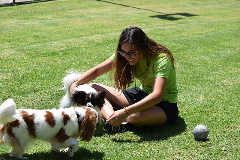 PALLINI KENNELS ATHENS PET RESORT: Φωτογραφίες & Βίντεο