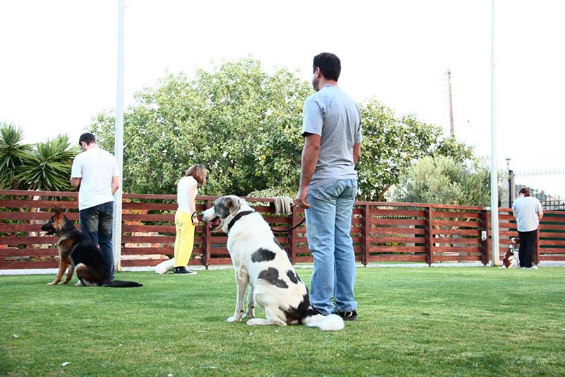 PALLINI KENNELS ATHENS PET RESORT: Φωτογραφίες & Βίντεο