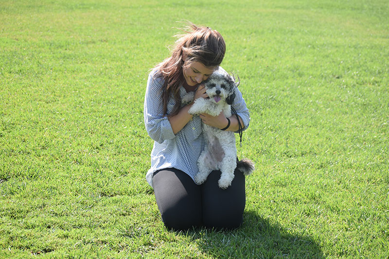 PALLINI KENNELS ATHENS PET RESORT: Φωτογραφίες & Βίντεο