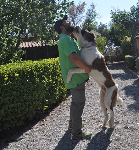 PALLINI KENNELS ATHENS PET RESORT: Φωτογραφίες & Βίντεο