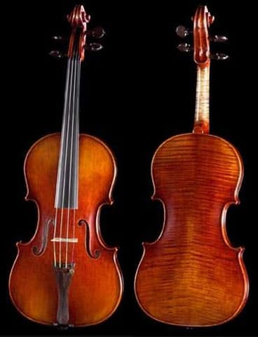Violin