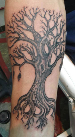 PANN TATTOO & PIERCING STUDIO: Φωτογραφίες & Βίντεο
