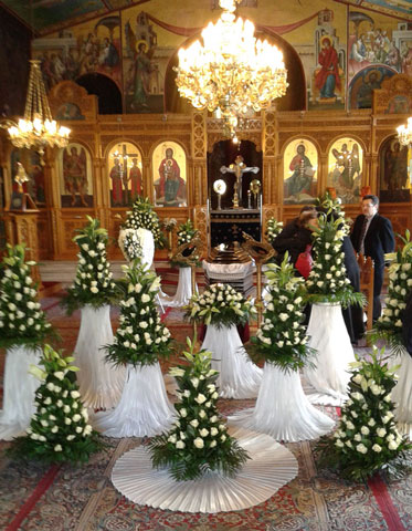PANTELIDIS ASKLIPIOS: Φωτογραφίες & Βίντεο