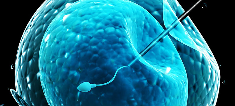 PANTELIS ATHANASIOS MD, PhD: Φωτογραφίες & Βίντεο