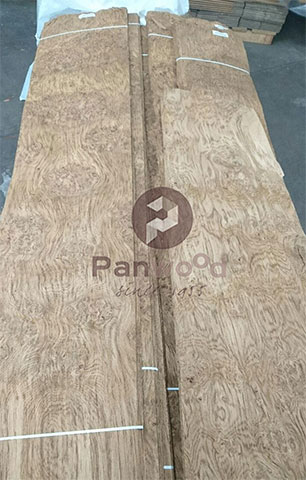 PANWOOD 1955: Φωτογραφίες & Βίντεο