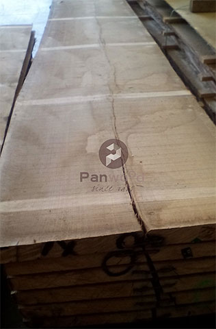 PANWOOD 1955: Φωτογραφίες & Βίντεο