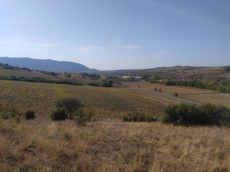 PAPADOPOULOU DIMITRA: Φωτογραφίες & Βίντεο