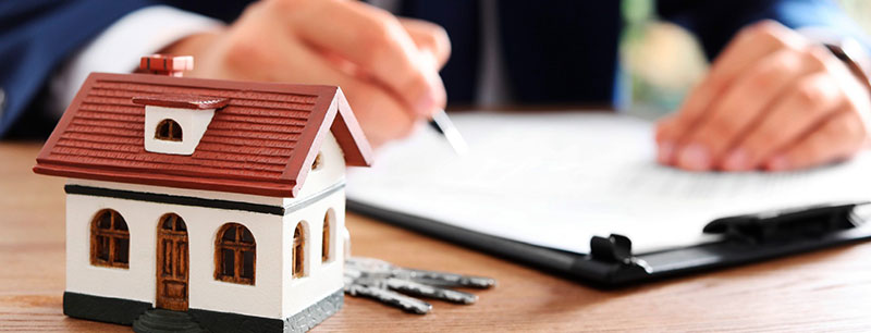 PAPAILIAS & SYNERGATES: Φωτογραφίες & Βίντεο