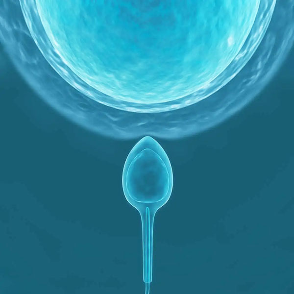 Εξωσωματική Γονιμοποίηση IVF