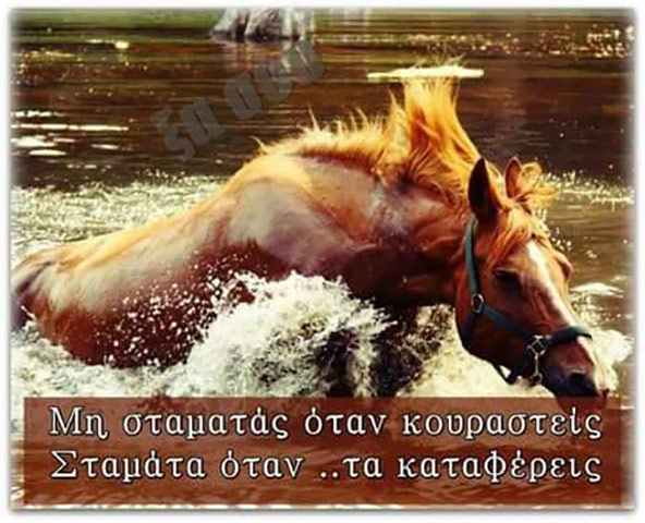 ΠΑΠΑΘΑΝΑΣΙΟΥ ΔΗΜΗΤΡΙΟΣ: Φωτογραφίες & Βίντεο