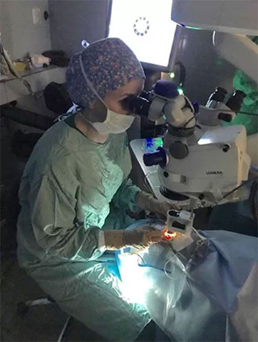 PAPAVASILEIOU EVAGGELIA - EYEMEDICA: Φωτογραφίες & Βίντεο