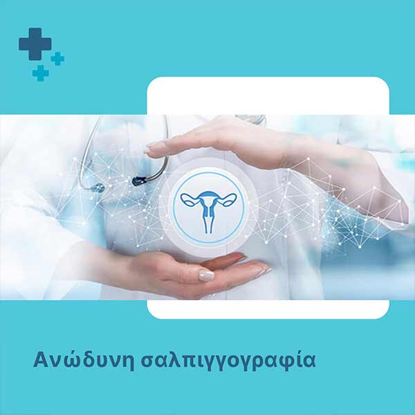 ΠΑΠΠΑΣ Θ. ΧΡΗΣΤΟΣ - ΓΟΝΙΜΟΤΗΤΑ: Φωτογραφίες & Βίντεο