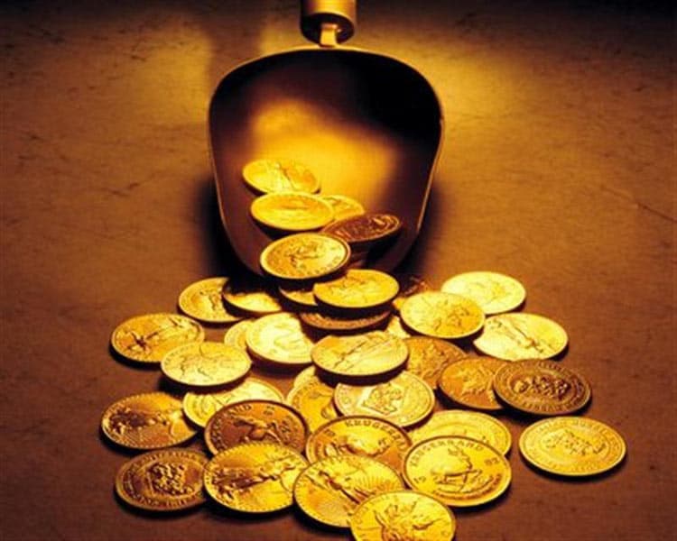 PARASTATIDIS GEORGIOS: Φωτογραφίες & Βίντεο