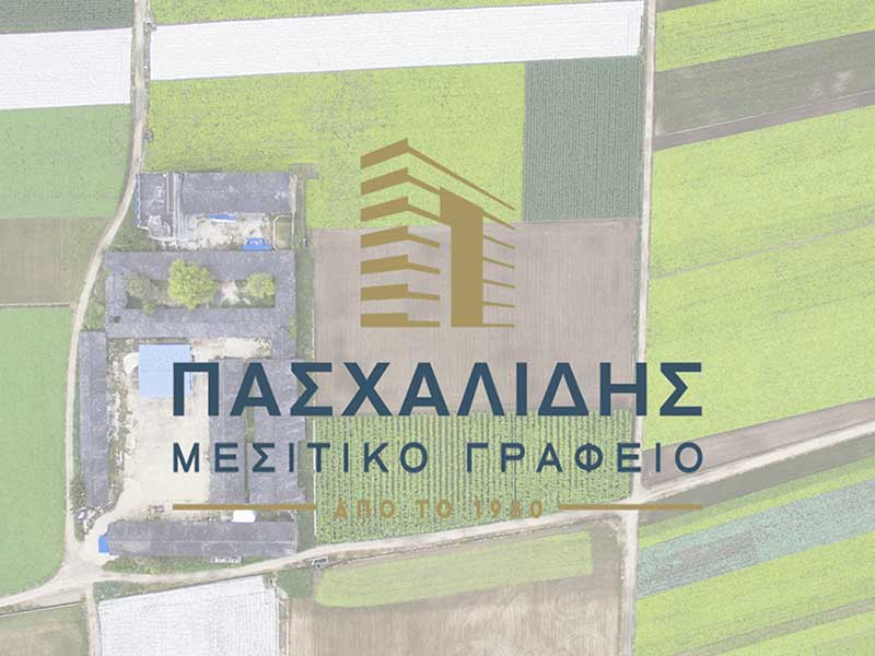 PASCHALIDIS AFOI OE: Φωτογραφίες & Βίντεο