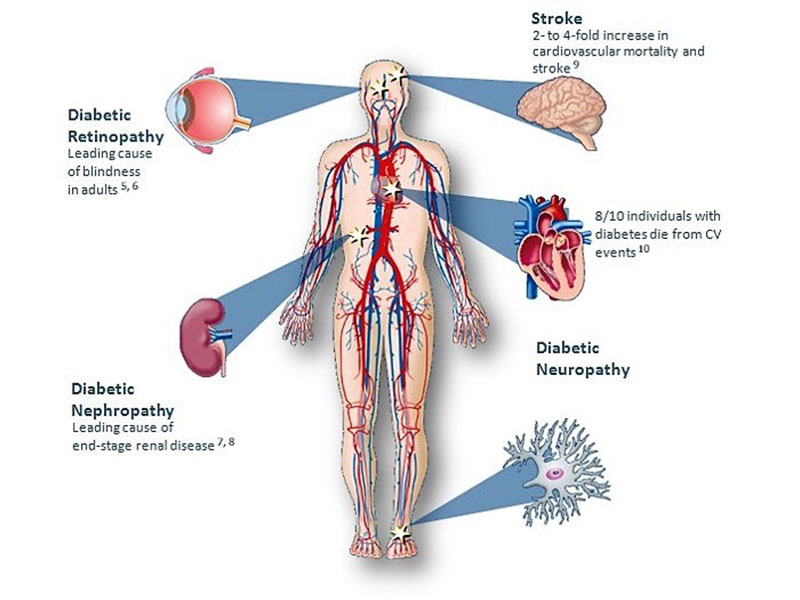 PASCHOU A. STAVROULA MD, PhD: Φωτογραφίες & Βίντεο