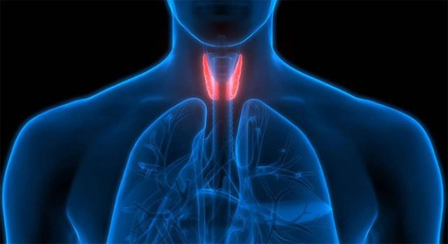 PAVLATOU MARIA Dr MD, PhD: Φωτογραφίες & Βίντεο