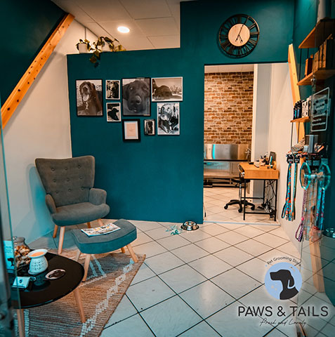 PAWS AND TAILS: Φωτογραφίες & Βίντεο