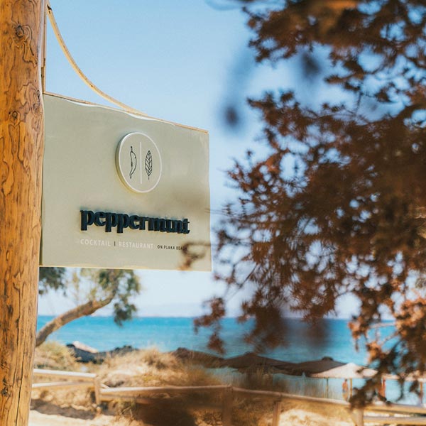 PEPPERMINT: Φωτογραφίες & Βίντεο